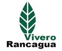 Logo Cliente 16