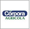 Logo Cliente 3