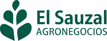 Logo Cliente 9