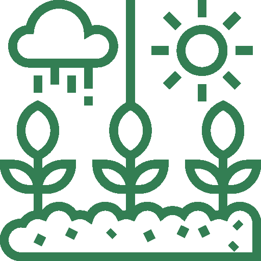 Adaptado a condiciones de campo